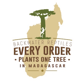 Backwater Reptiles team