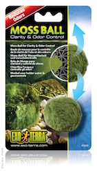 Buy moss ball