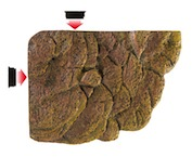 Buy turtle basking spot