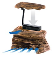 buy-turtle-cliff