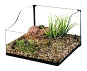 Turtle aquarium for sale