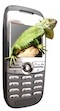 Turtle supplies newsletter